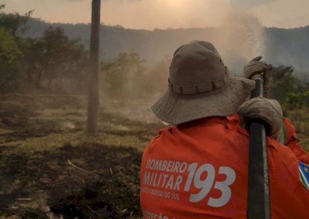 Incêndios são controlados no Pantanal e equipes fazem rescaldo