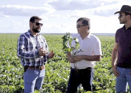 Presidente do Sindicato Rural alerta para perdas da soja provocadas por onda de calor