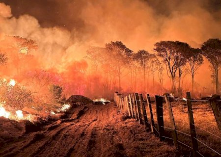 MS e MT decretam emergência em razão de incêndios no Pantanal