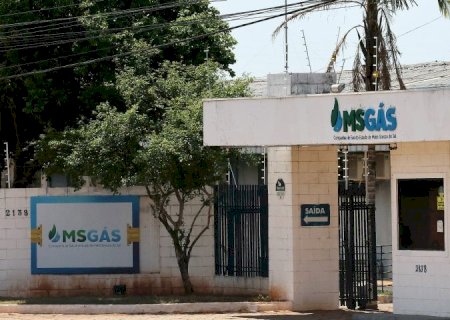 Estado contrata BNDES para estudos de melhorias na distribuição de gás canalizado