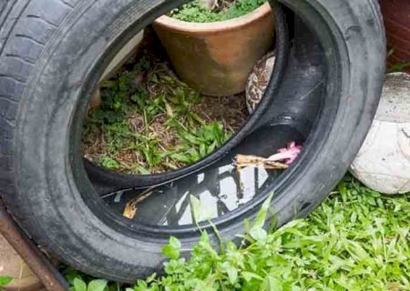 Em uma semana, casos prováveis de dengue sobem de 120 mil para 217 mil