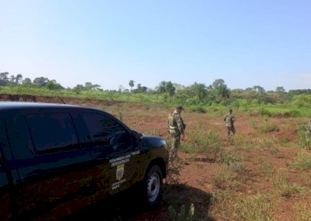 Polícia brasileira e paraguaia deflagra operação em combate ao tráfico de drogas