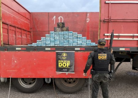 DOF faz apreensão milionária de cocaína que seguia para o Porto de Paranaguá