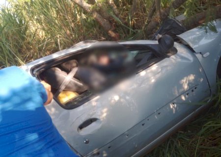Contrabandista bate em árvore e fica prensado em carga de mercadorias