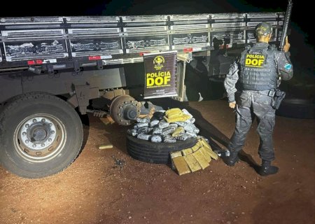 DOF apreende 400 quilos de drogas e mais de 500 munições de grosso calibre em Ponta Porã