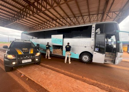 Ônibus com turistas paraguaios levava meia tonelada de maconha
