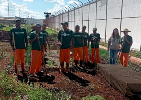 Parceria entre Agepen e Senar promove educação profissionalizante para internos da Penitenciária de Dourados