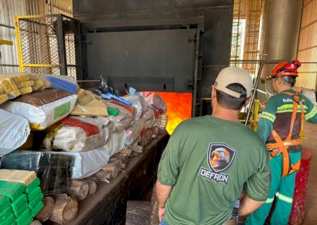 Polícia incinera 7,6 toneladas de drogas apreendidas na fronteira