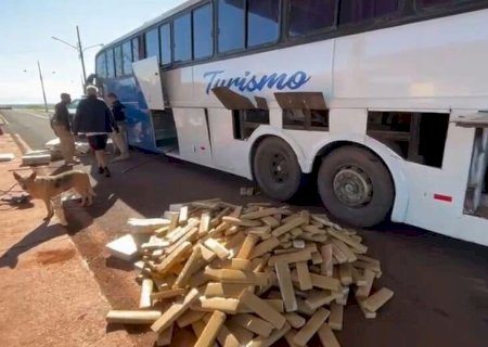 PRF Apreende 1.480kg de Maconha em Ônibus Levando Turistas Para a Praia