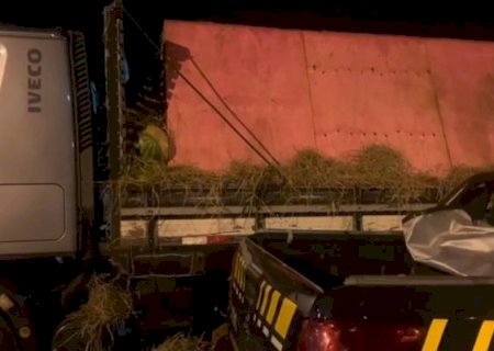 16 toneladas de maconha apreendidas pela PRF estavam em carga de melancia