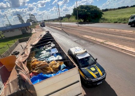 Caminhão que saiu de Dourados levava 9,4 toneladas de maconha