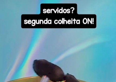 Traficante que vendia drogas sintéticas pelo Instagram é preso