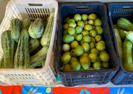 Prefeitura distribuiu mais de 1 tonelada de alimentos para instituições locais
