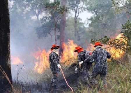 Força Nacional já atua no combate ao fogo no Pantanal