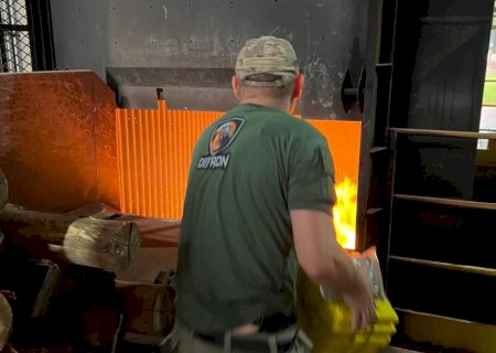 Polícia incinera 15,5 toneladas de drogas aprendidas em Dourados