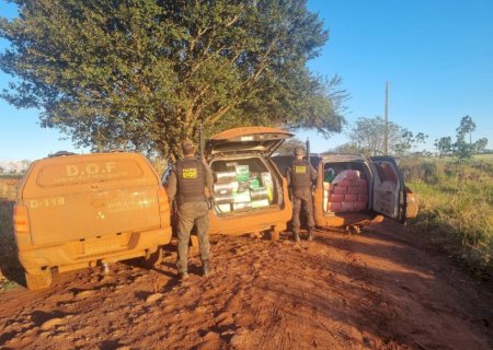 DOF apreende carros com carga milionária de maconha na fronteira