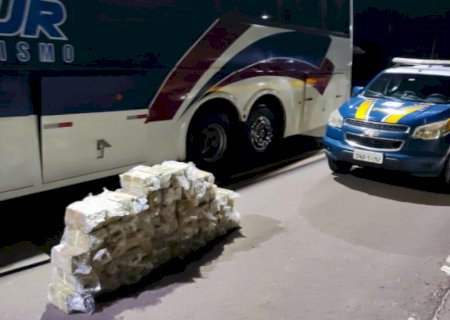 Douradense é preso em ônibus de turismo com 210 quilos de cocaína