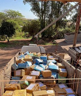 Maconha apreendida pela PRF totalizou Com mais 28,2 toneladas