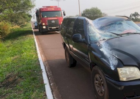 Motorista que perdeu o controle da direção e deslizou em mureta é identificado