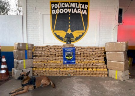 Polícia prende idoso paraguaio com quase 900 quilos de maconha na MS-164