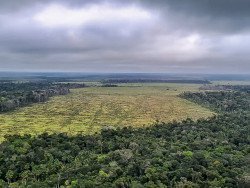 Degradação de florestas na Amazônia bate recorde mensal em setembro