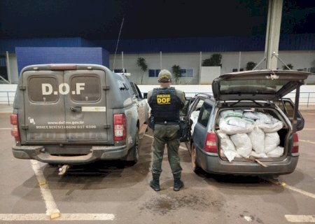 Veículo carregado com defensivo agrícola é apreendido pelo DOF em Mundo Novo