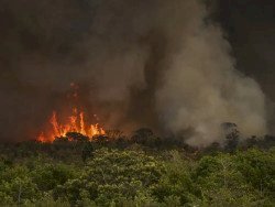 Brasil tem 22,38 milhões de hectares atingidos pelo fogo em nove meses