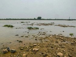 Rio Paraguai registra mínima histórica em ano mais seco no Pantanal