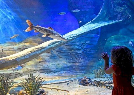 Bioparque divulga horário de Carnaval; local contará com apresentações musicais