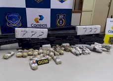 Encomenda de supermaconha em caixas de erva de tereré é interceptada nos Correios