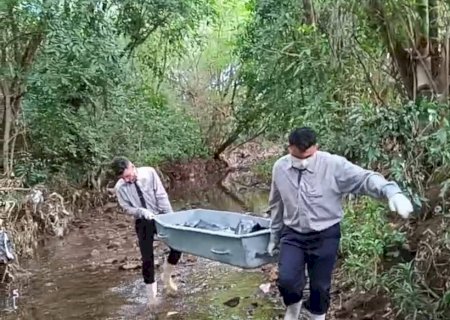 Corpo é encontrado às margens de córrego em Dourados