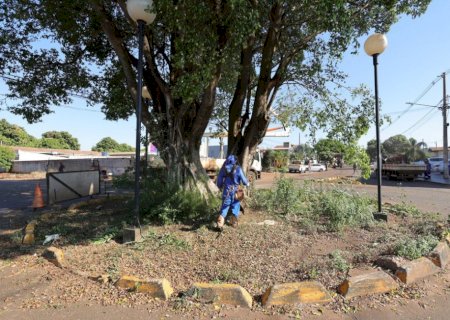 Rotatória do Jardim Maringá passa por revitalização