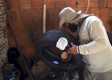 Dengue recua, mas avanço da Chikungunya acende alerta em Mato Grosso do Sul
