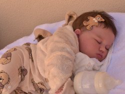 Projeto quer vetar atendimento de bonecas 'reborn' na rede pública de saúde em MS