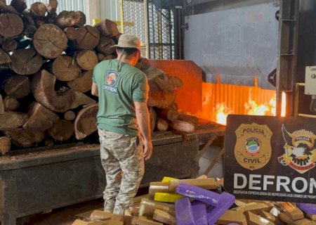 Defron queima 9,5 toneladas de drogas em Ponta Porã