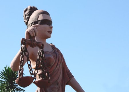 Homem é condenado em R$ 141 mil por manter filhotes de papagaio em cativeiro