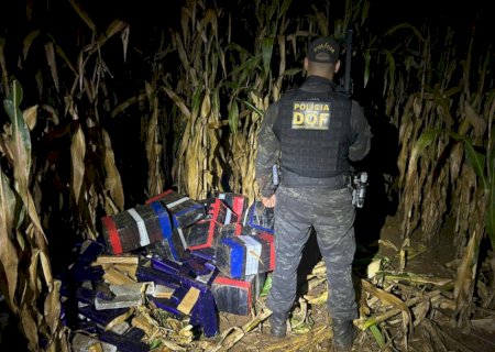 DOF apreende veículo com quase uma tonelada de maconha em Maracaju