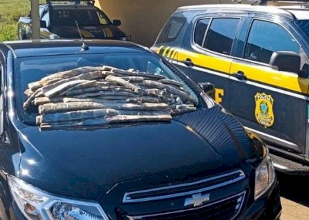 Polícia Rodoviária Federal apreende 35 quilos de maconha “ICE” em Bataguassu