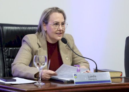 Liandra da Saúde solicita patrolamento e cascalhamento para ruas do bairro Bonanza