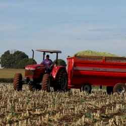 Secretaria seleciona agricultores familiares para distribuição de fertilizante orgânico
