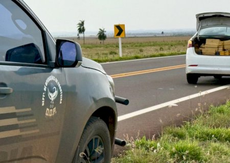 DOF recaptura foragido com 650 quilos de drogas em carro roubado