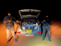 DOF prende casal e apreende 280 quilos de droga que seguiam para o interior paulista