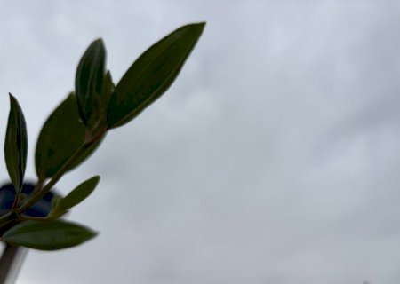 Meteorologia alerta para risco de temporal, granizo e ventos de até 60 km/h em MS