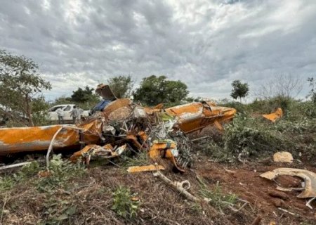 Avião bateu em árvore antes de atingir o solo, aponta relatório preliminar do Cenipa