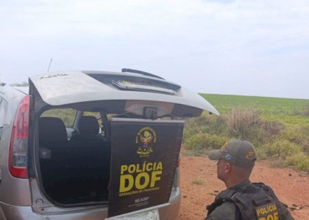 Motorista de aplicativo é preso e adolescente apreendida com drogas em forno elétrico