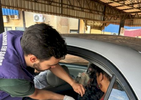 Drive-thru de vacinação antirrábica na Prefeitura imuniza mais 1,7 mil animais