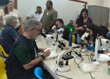 MS antecipa combate à Febre Oropouche por meio de testagem e coleta de vetores