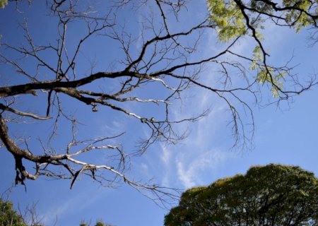 Dia começa ensolarado e nuvens aumentam à tarde em Dourados; máxima de 25ºC