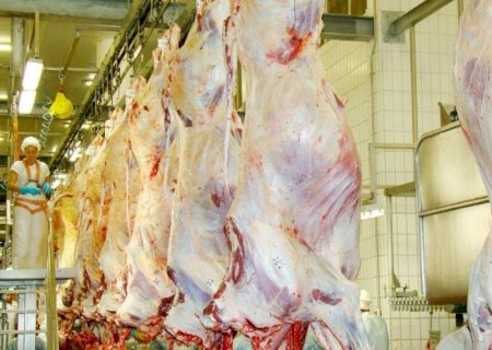 Mesmo com tarifaço de Trump, exportações de proteína bovina de MS aumentam 43,7% no ano