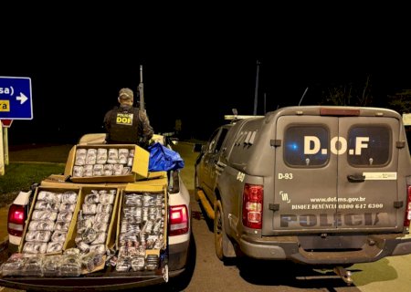 Mulher é presa com quase 100 quilos de haxixe em meio a carga de material hospitalar